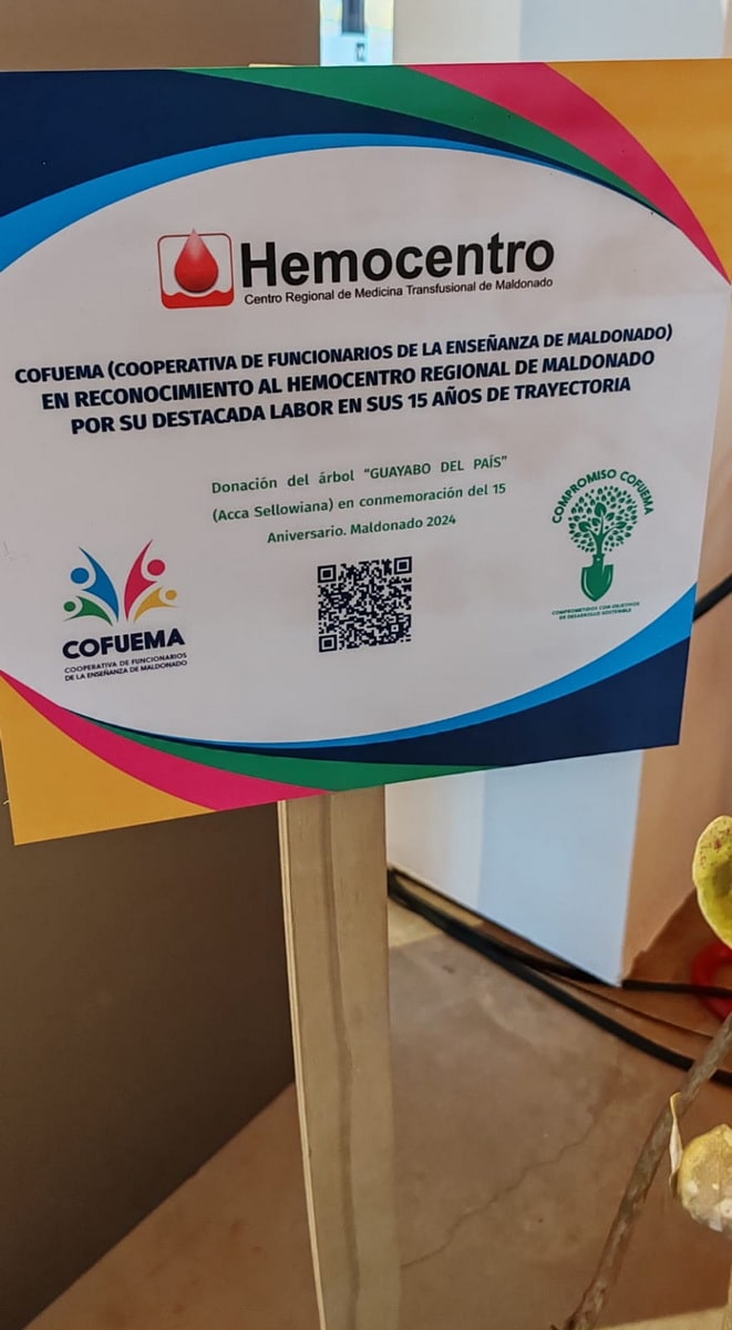 011_15_Aniversario_Hemocentro_Nov2024-min