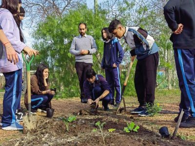 002_galeria_comp_cofuema