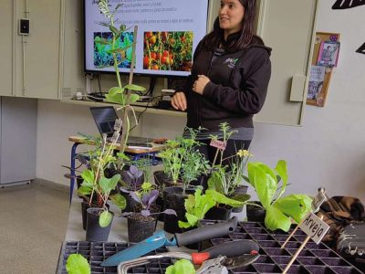 003_galeria_comp_cofuema