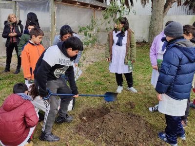 005_galeria_comp_cofuema