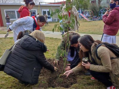 006_galeria_comp_cofuema