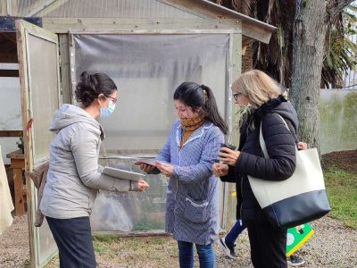 007_galeria_comp_cofuema