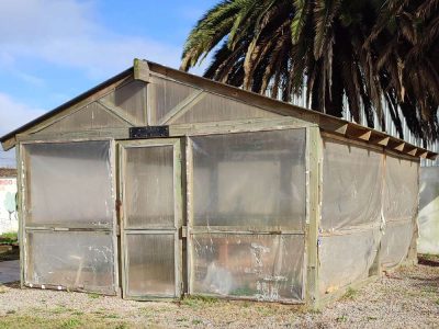 009_galeria_comp_cofuema