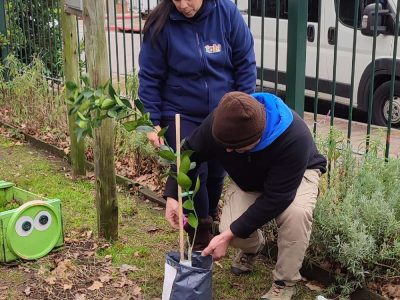 010_galeria_comp_cofuema