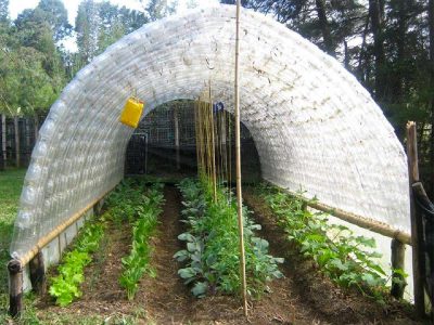 012_galeria_comp_cofuema