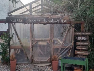 014_galeria_comp_cofuema