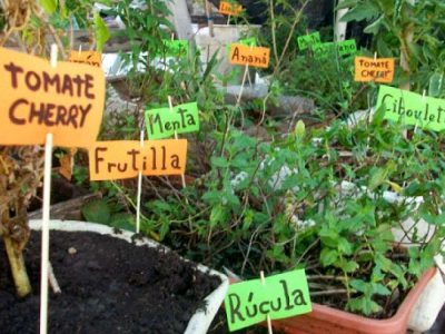 015_galeria_comp_cofuema